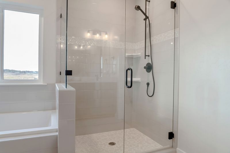 Black Frame Frameless Shower